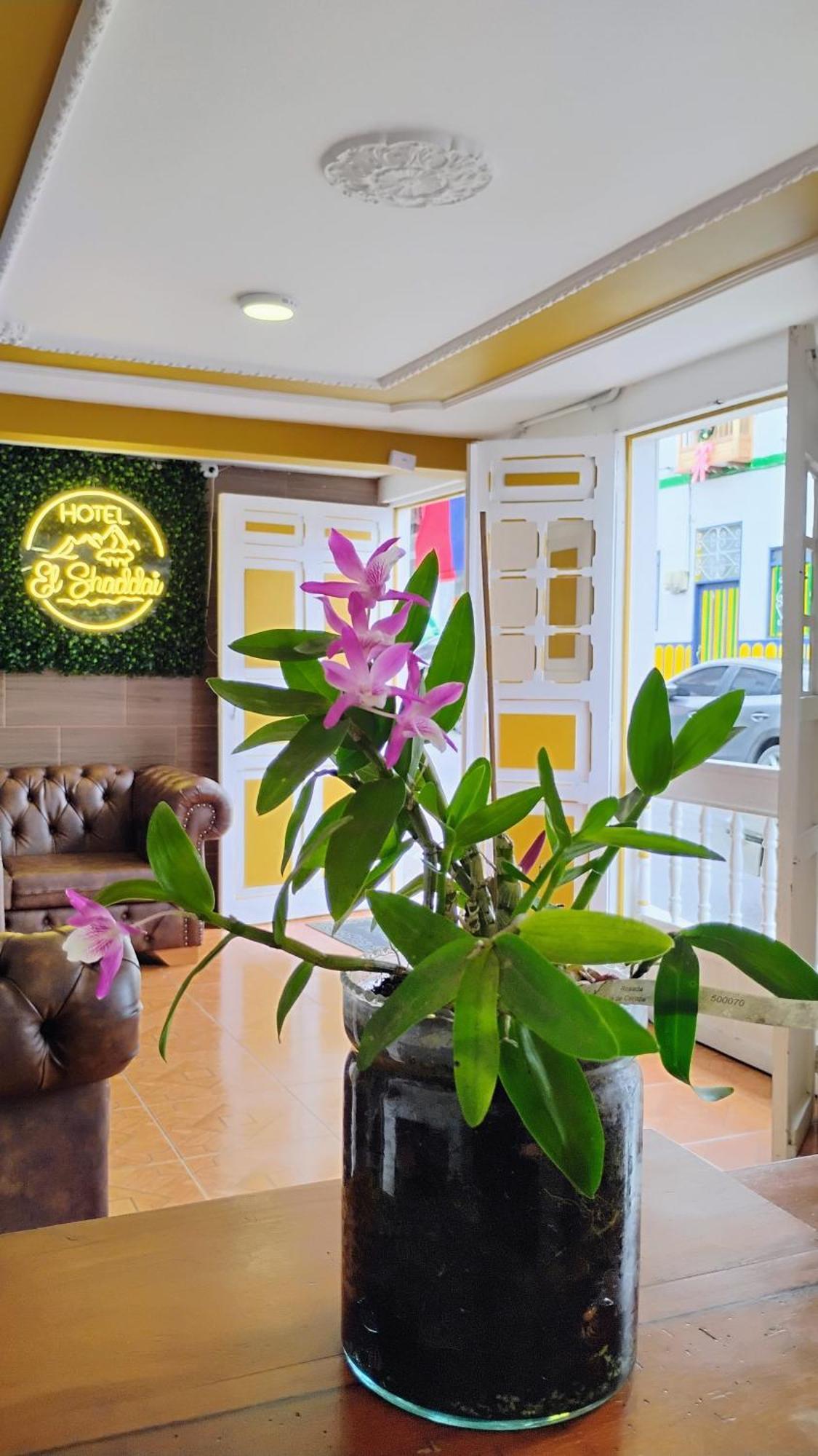 Hotel Shaddai 菲兰迪亚 外观 照片